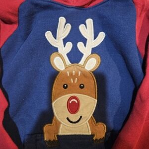 Gymboree Rudolph Embroidered Hoodie
